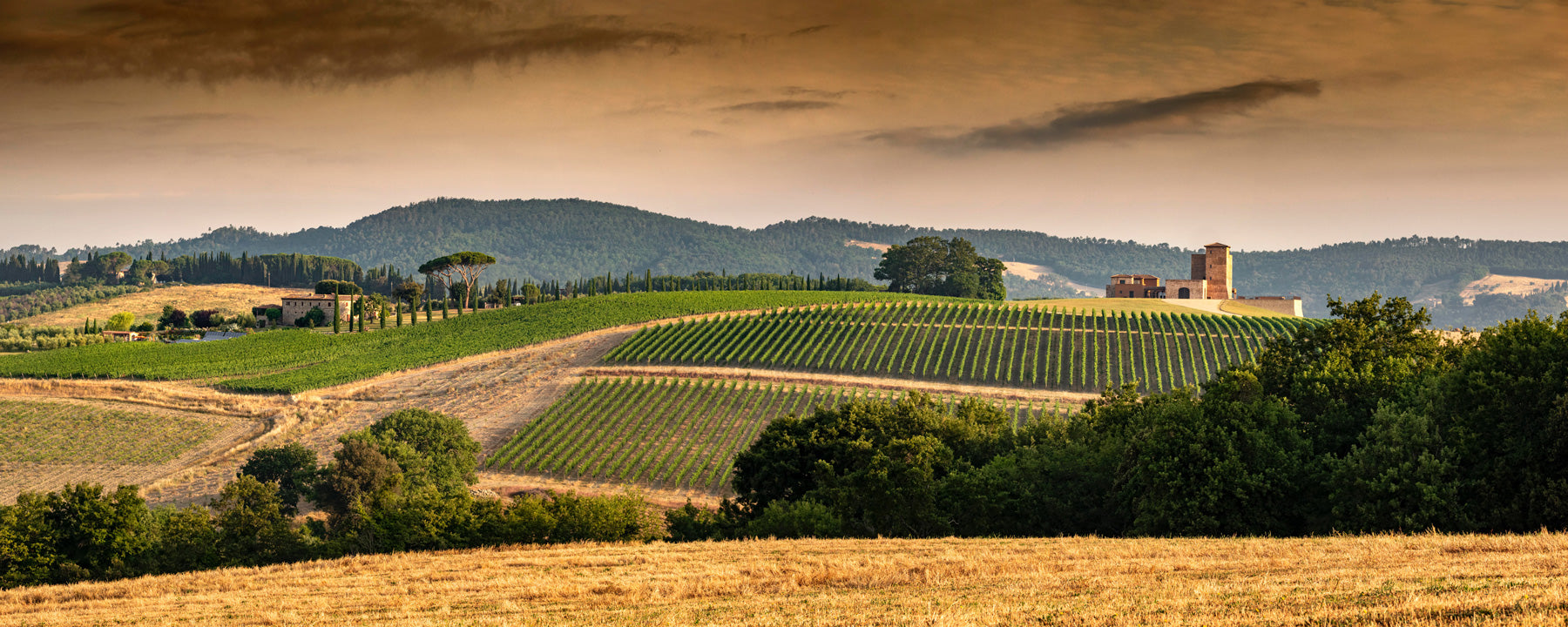 MonteRosola: A Tuscan Gem