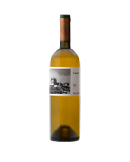 Cassero Vermentino 2022
